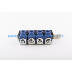 RAIL INIETTORI 4 CIL. VALTEK 30